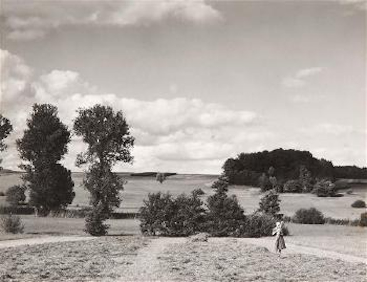 Countryside, Haying, Near Dieffmatten (Haut-Rhin, Alsace, France) by Paul Strand