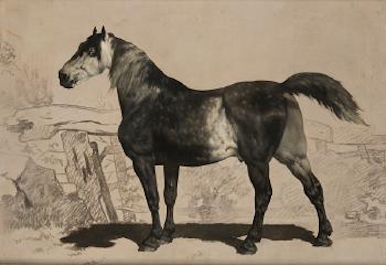 Il cavallo grigio [The grey horse] by Alfred de Dreux