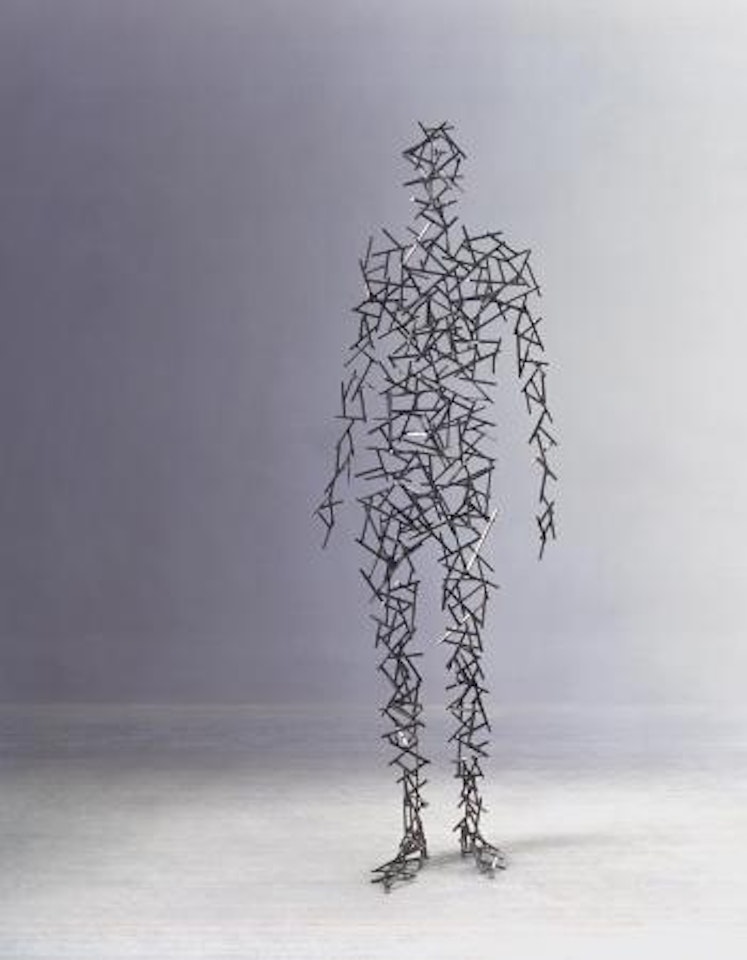 Domain XV by Antony Gormley