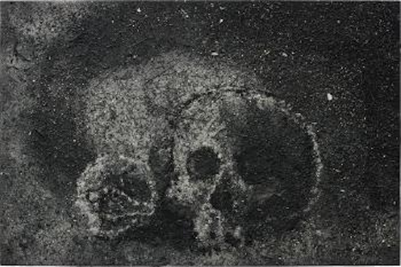 Skull No. 22 by Zhang Huan