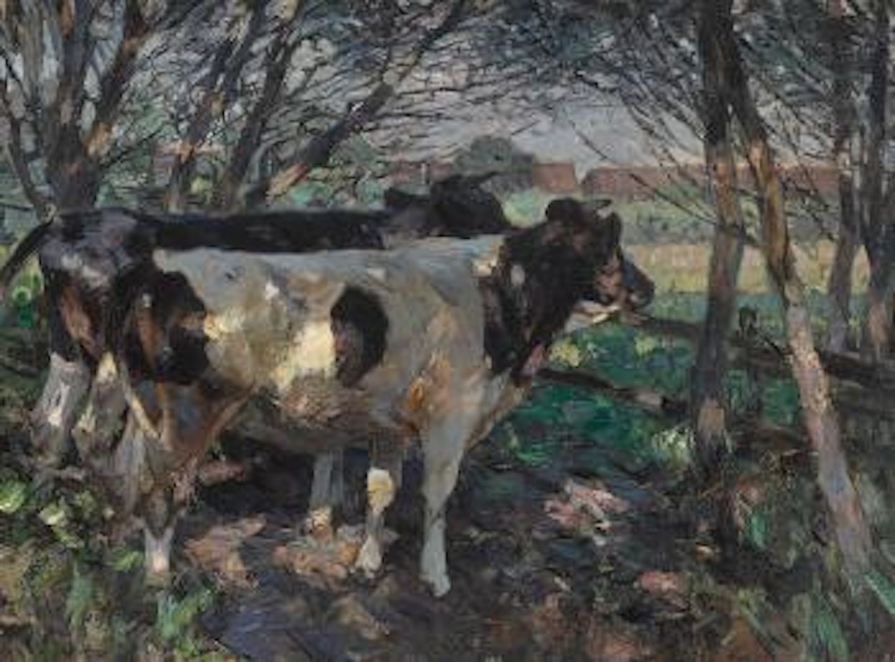 Zwei Kühe am Zaun by Heinrich von Zugel