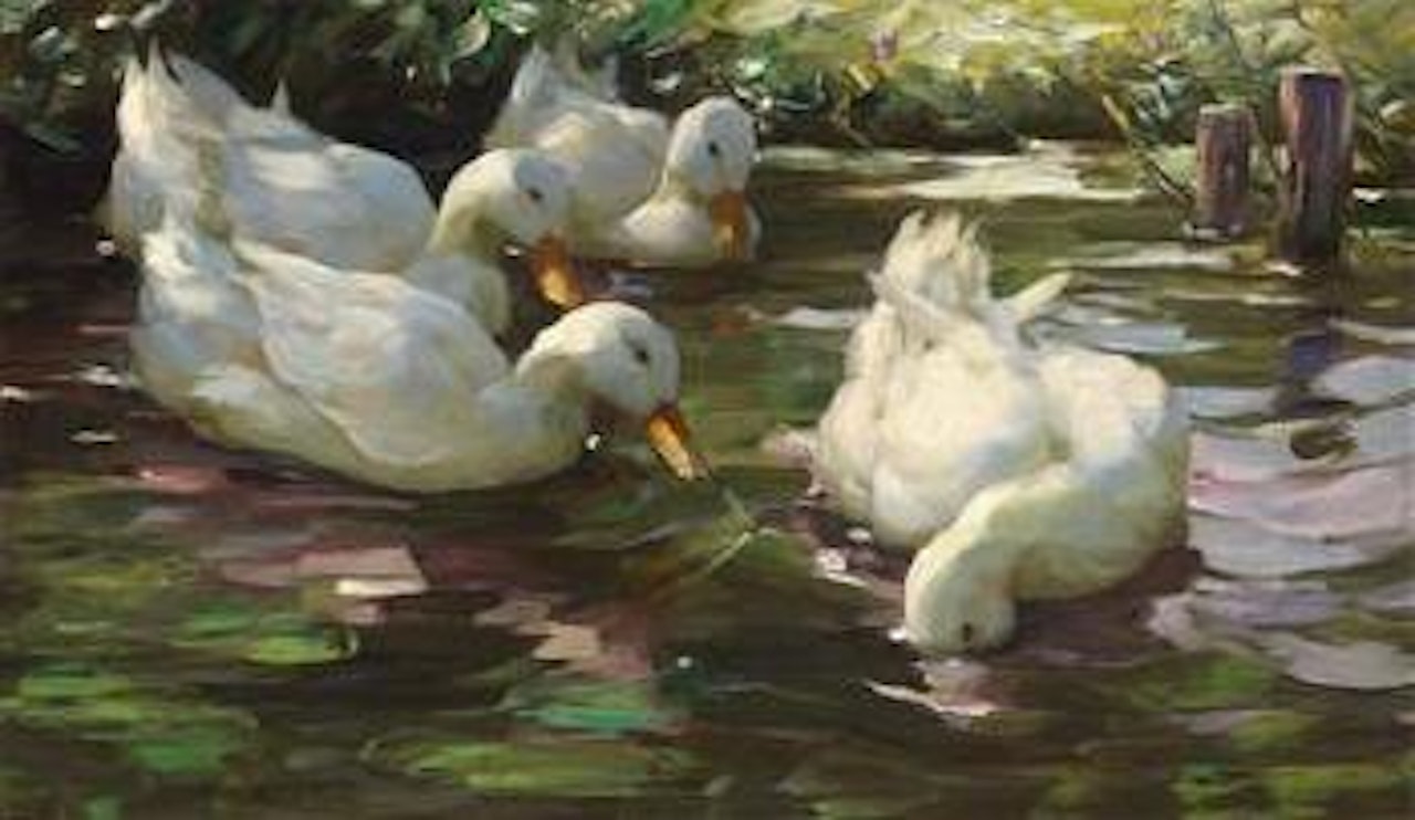 Four ducks on the pond by Alexander Koester