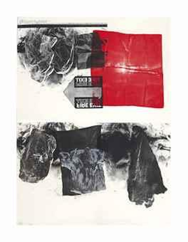 Treaty by Robert Rauschenberg
