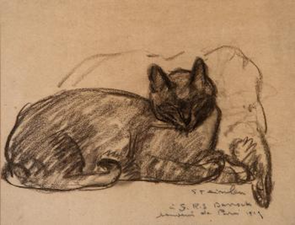 Study of a cat resting on a pillow by Théophile Alexandre Steinlen