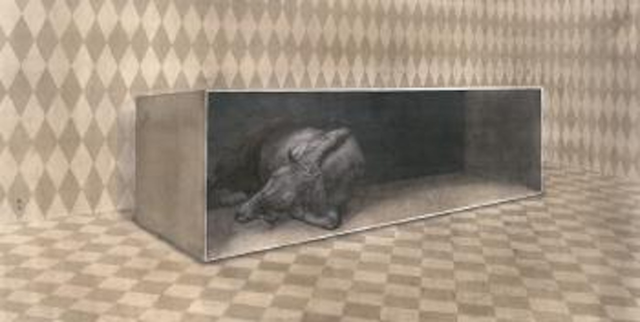 Dark horse in the box by Qin Ai