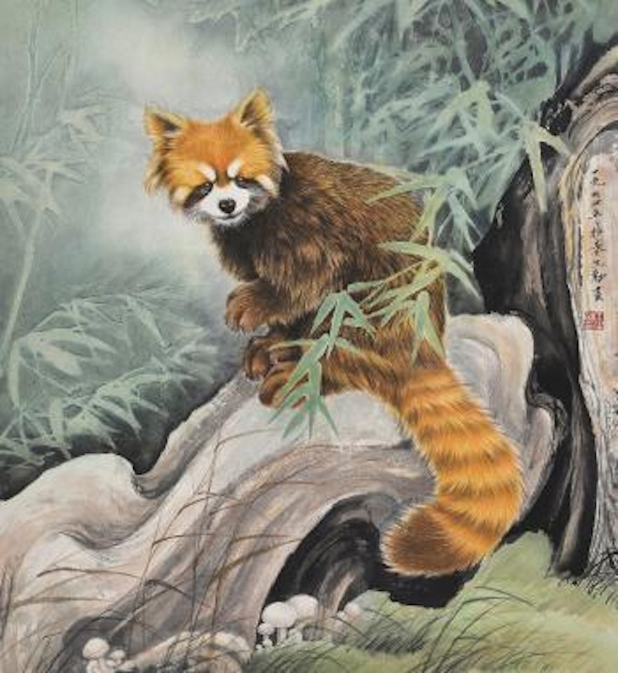 Raccoon by Wang Shenyong