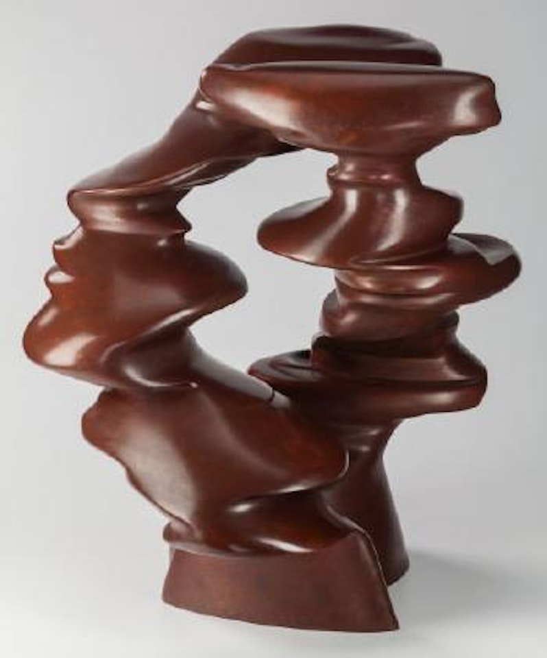 Outlook by Tony Cragg