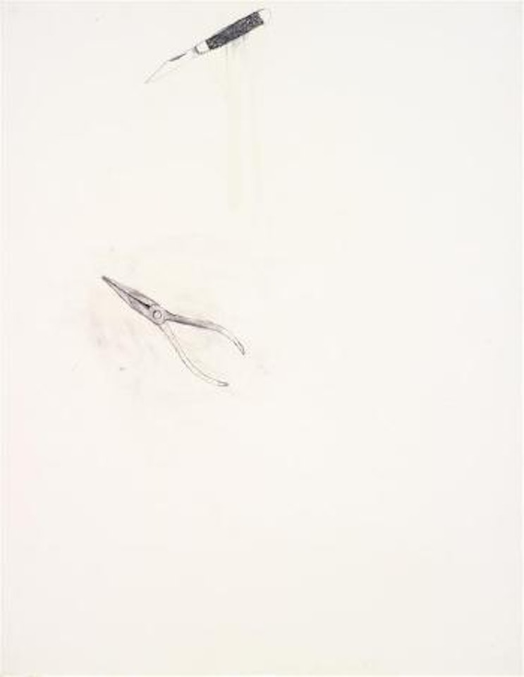 Knife and pliers by Jim Dine