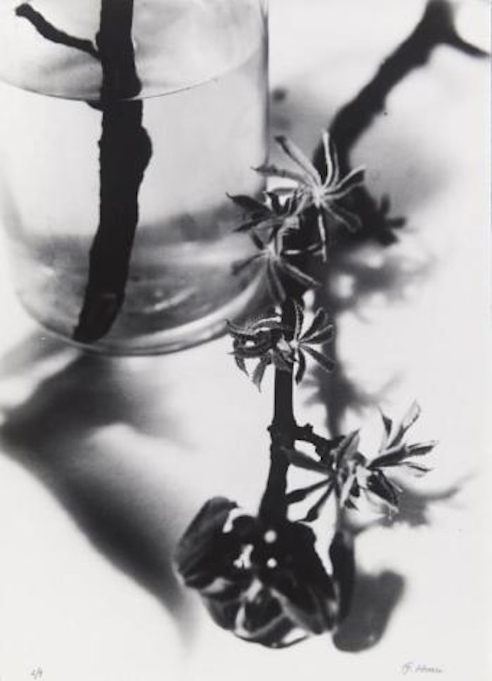 Composition-nature morte by Florence Henri