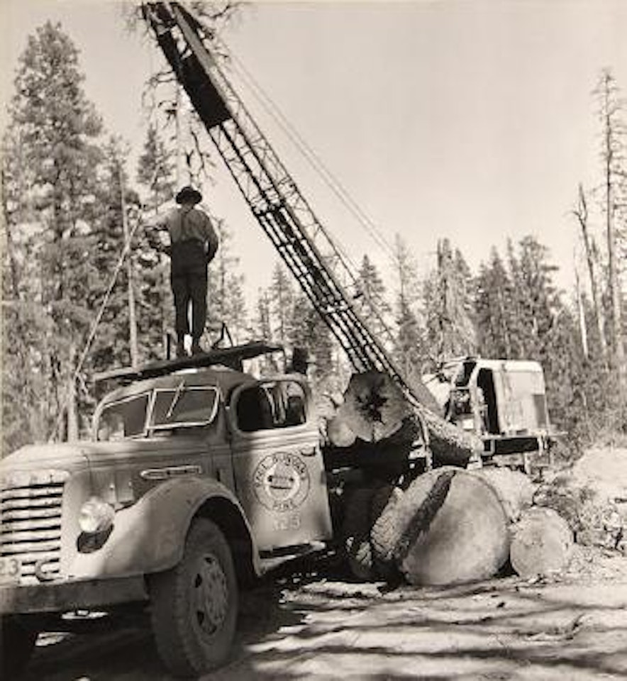 Logging, from Red River Lumber Co., 1943 by Berenice Abbott