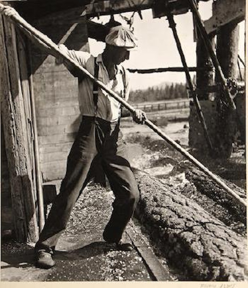 Mill Pond, from Red River Lumber Co., 1943 by Berenice Abbott