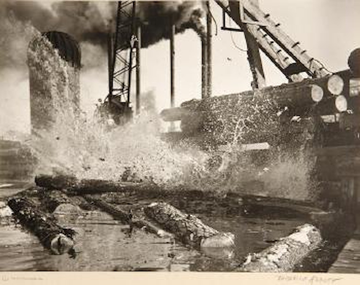 Trees and Mill Slip, from Red River Lumber Co. by Berenice Abbott