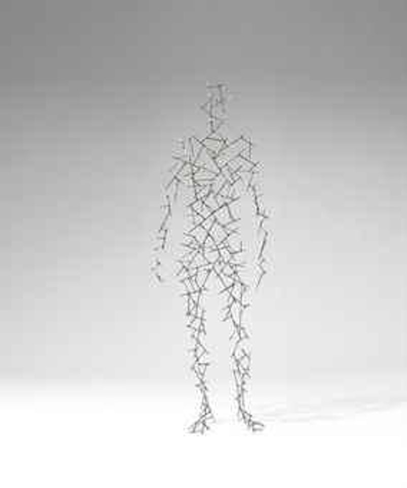 Domain XXXIX by Antony Gormley