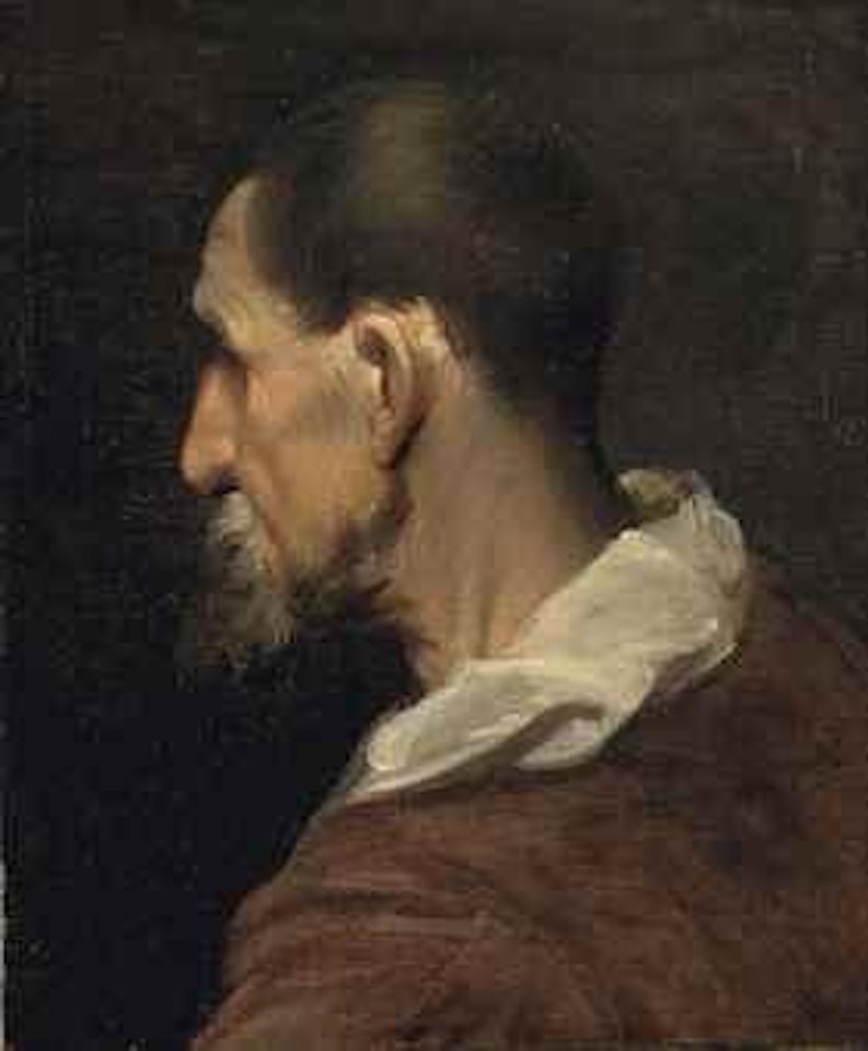 Tête d’apôtre, vue de trois quart dos by Anthony van Dyck