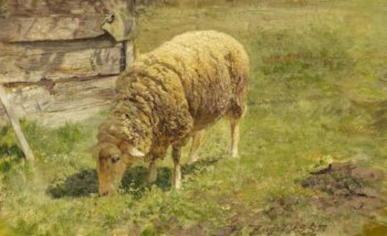 Grazing Sheep by Heinrich von Zugel