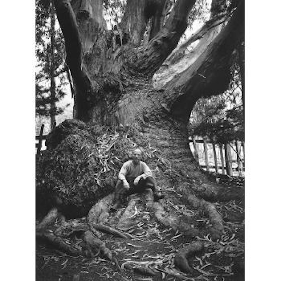 Edward Weston, Carmel Highlands by Ansel Adams