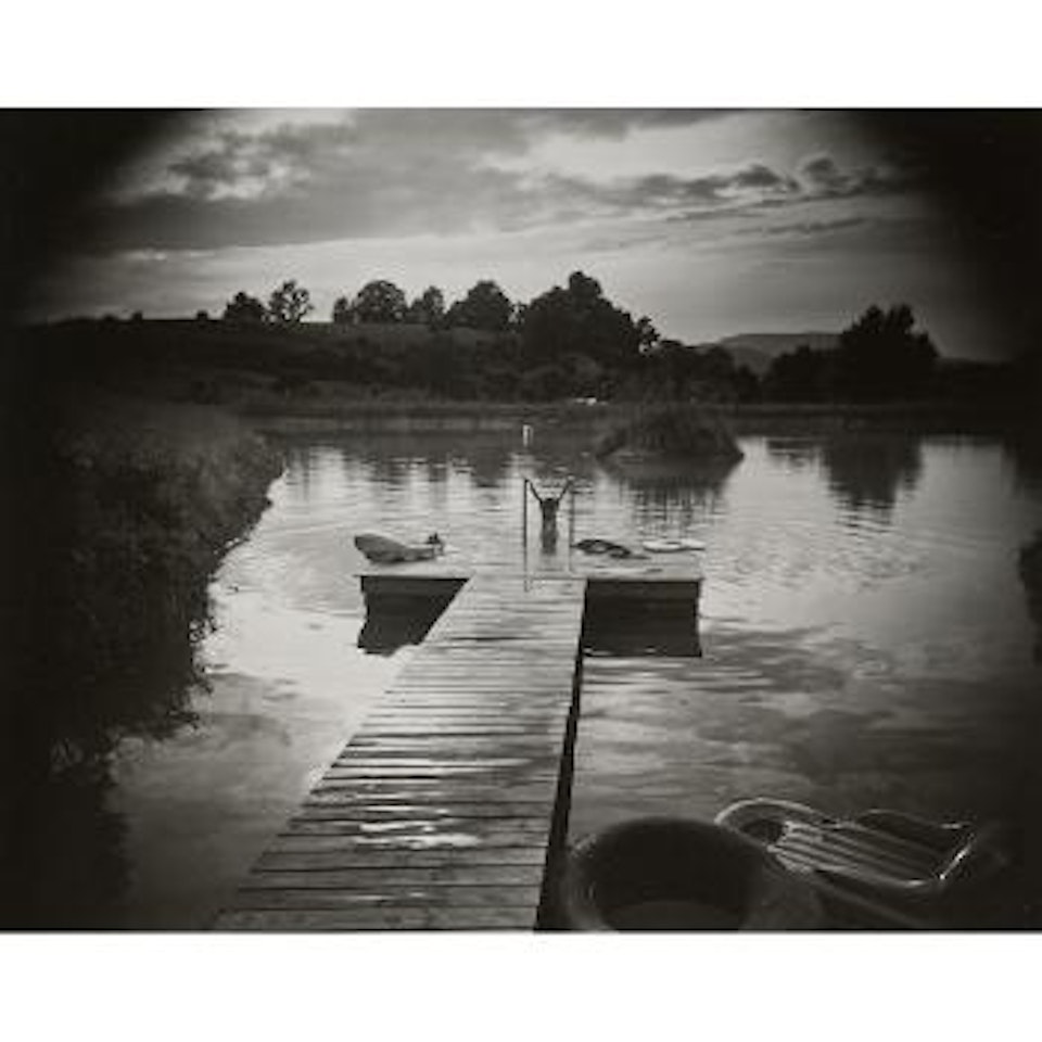 John's Pond by Sally Mann