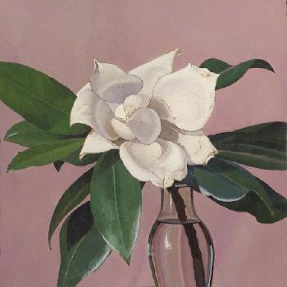 Magnolia by Oscar Ghiglia