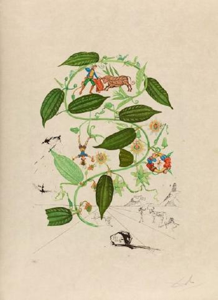 Passiflore (Passiflora Laurigera) by Salvador Dali