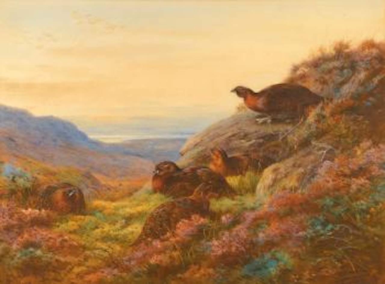 When The gloaming comes - red grouse by Archibald Thorburn