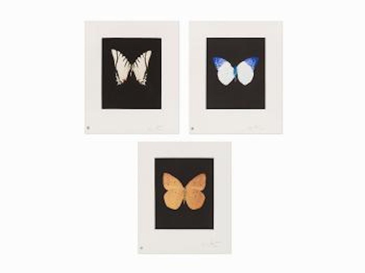 Butterfly Etching by Damien Hirst