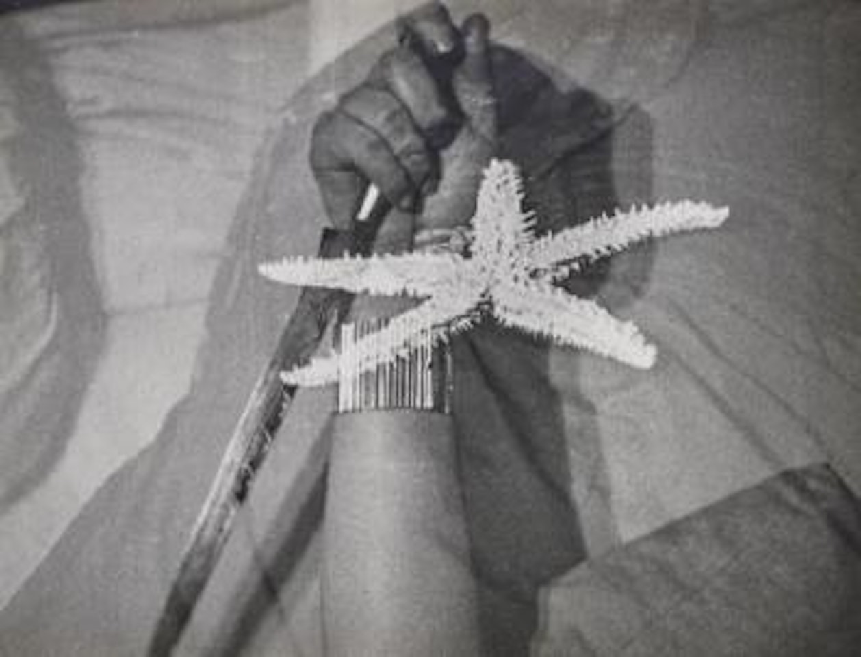 L’Étoile de mer by Man Ray