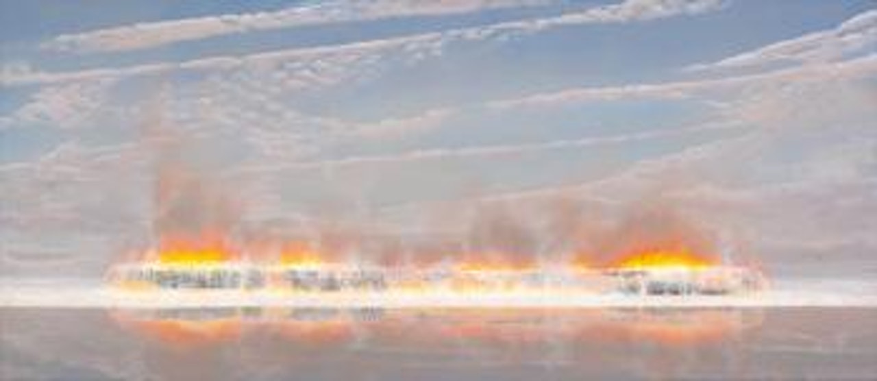 The Reflected Hearth and Dust by Tim Storrier