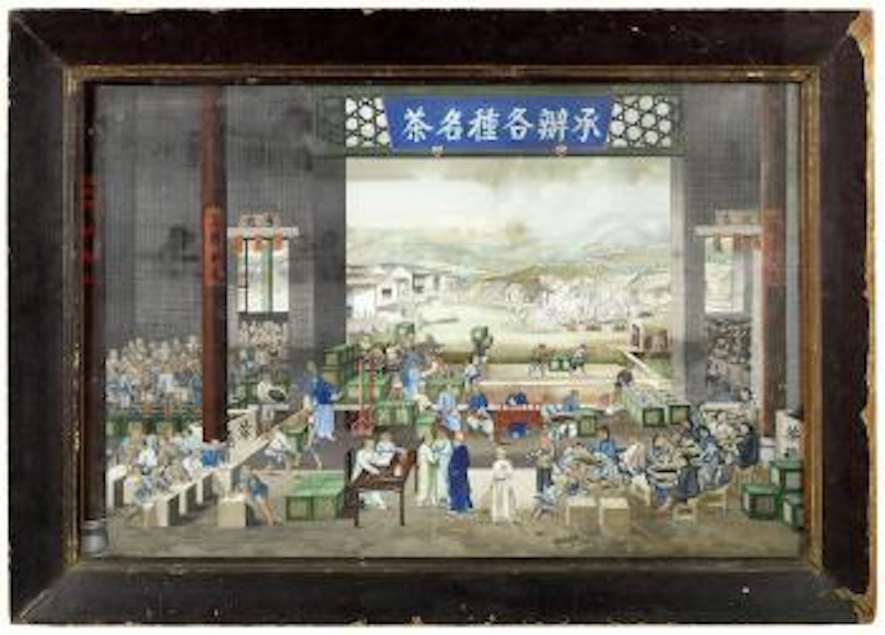 Tea preparation by Tingqua