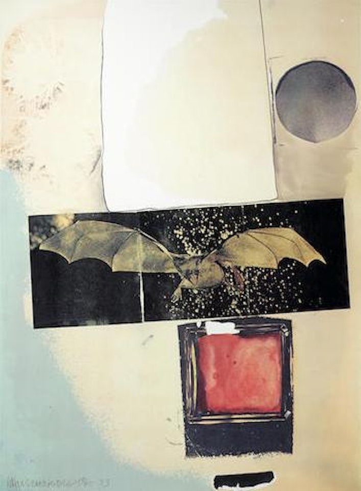 Rays, 1973 by Robert Rauschenberg
