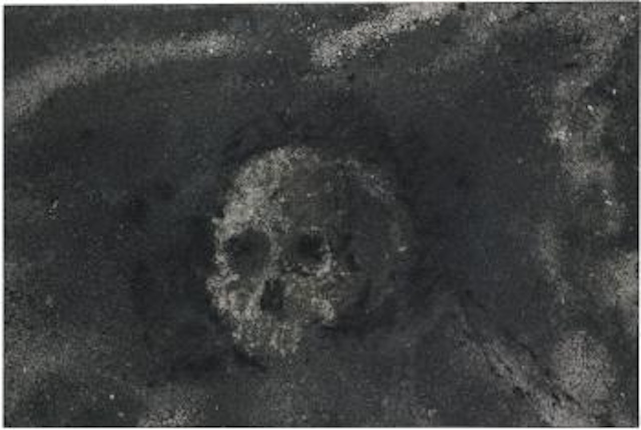 Skull No. 15 by Zhang Huan
