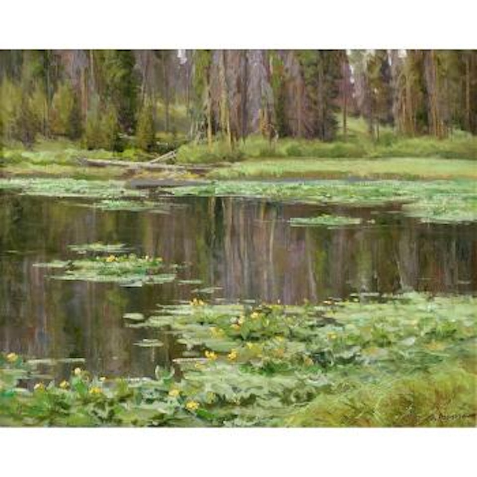 Green and violet by Clyde Aspevig