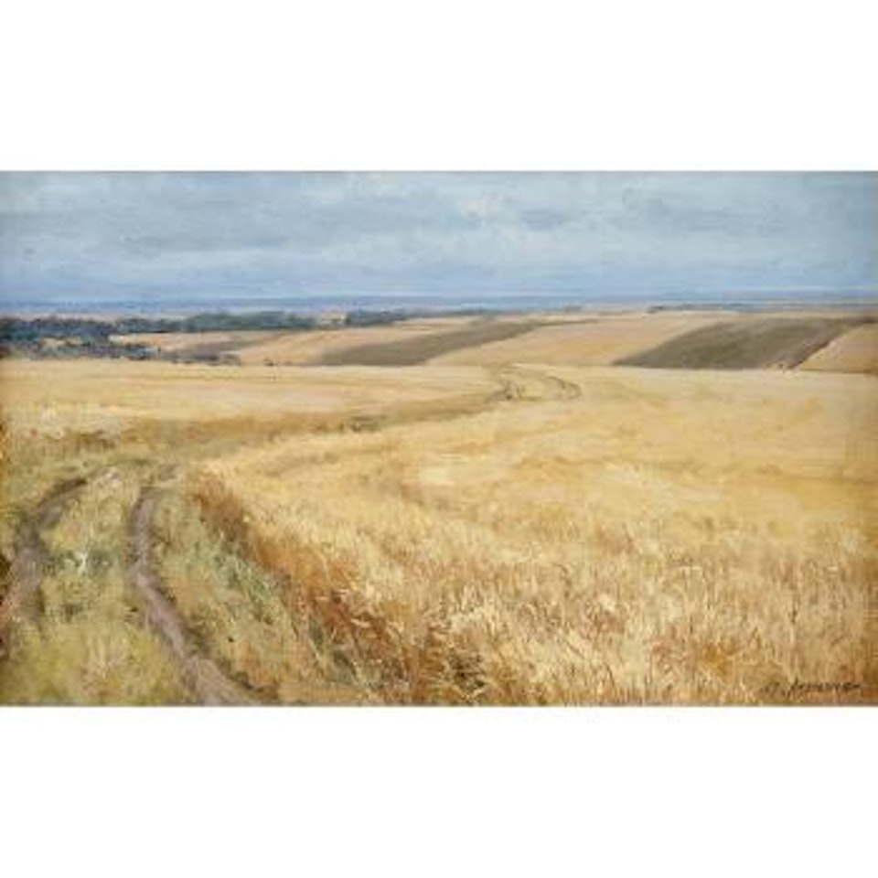 Wheat fields by Clyde Aspevig