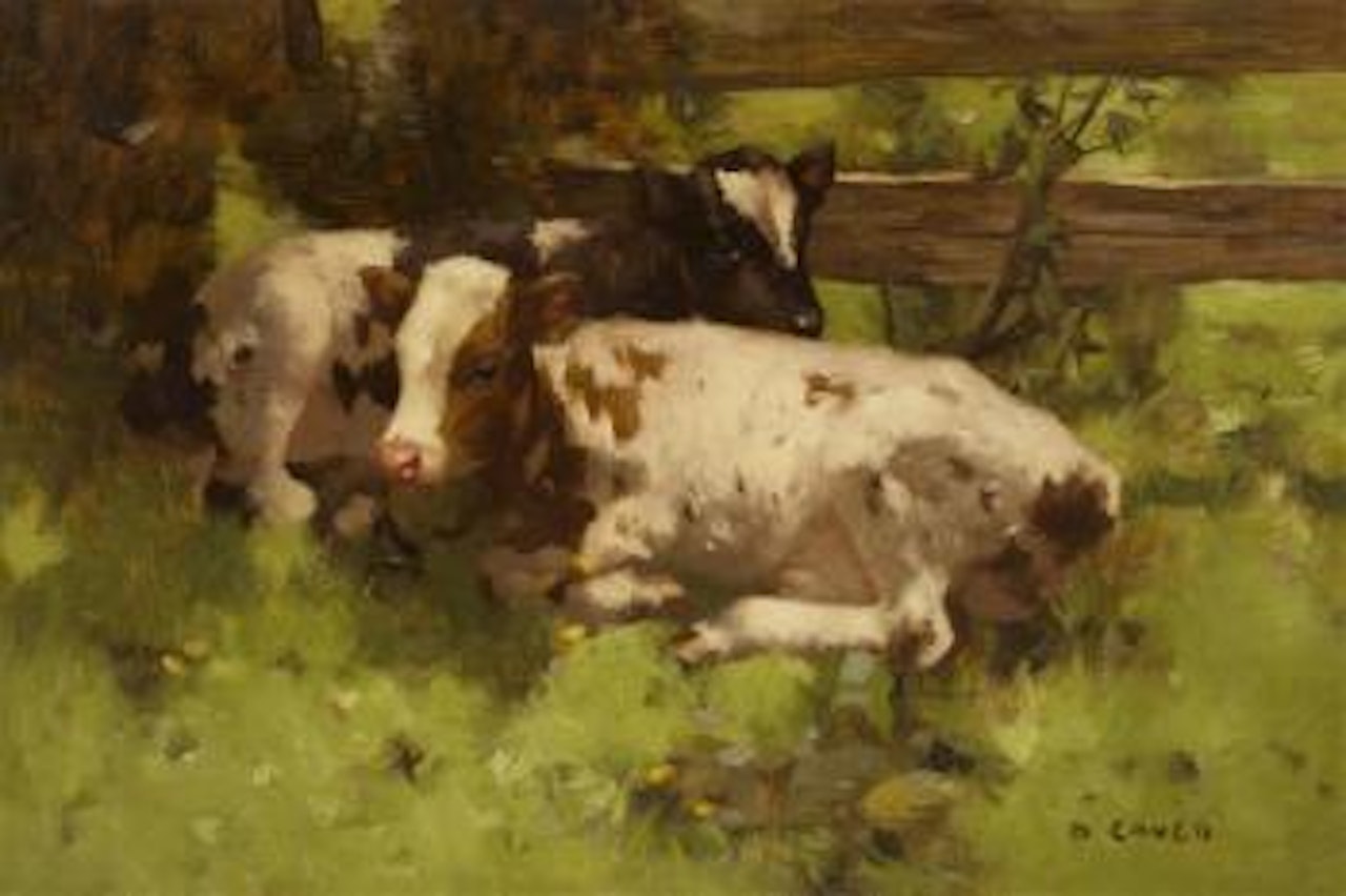 Calves in a Meadow by David Gauld