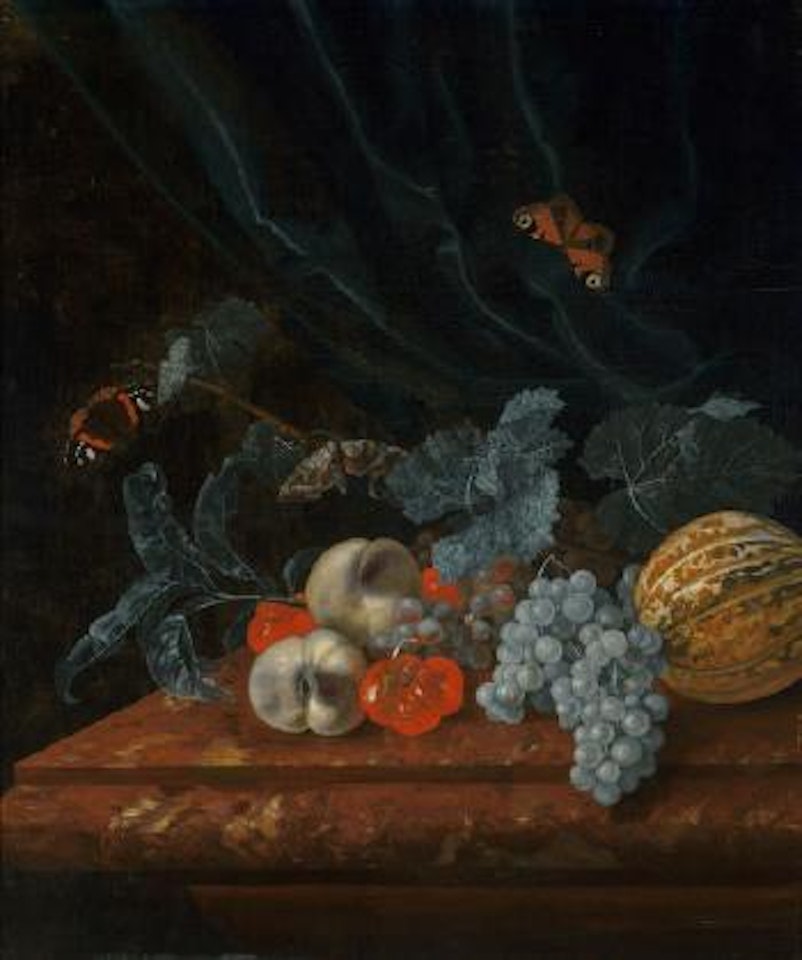 Still Life with Grapes, Peaches, a Melon, and other Fruit on a Marble Ledge with two Butterflies by Willem van Aelst
