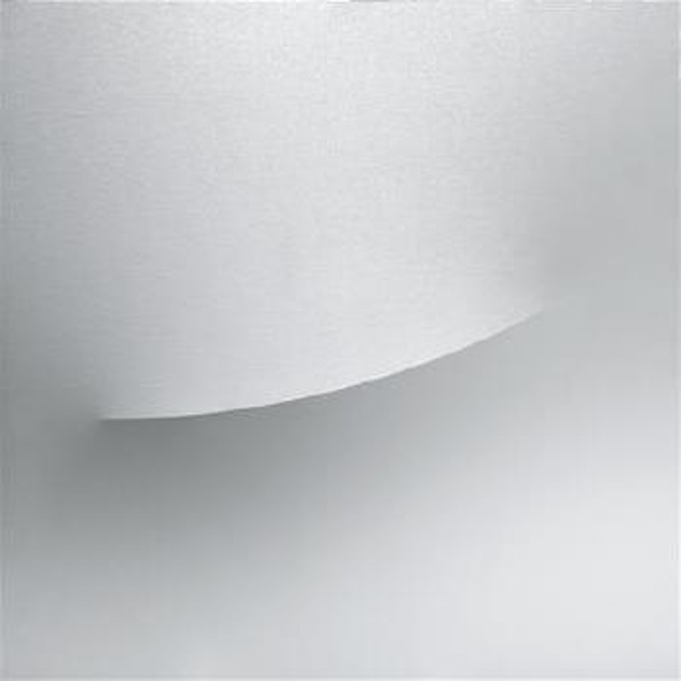 Segno bianco by Turi Simeti