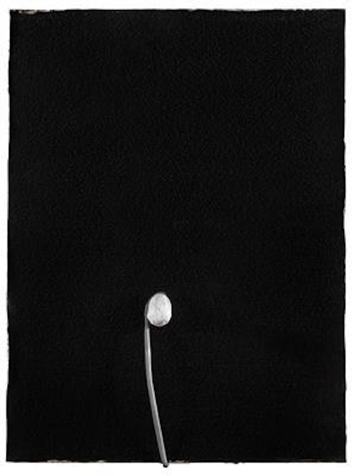 Untitled by Pier Paolo Calzolari