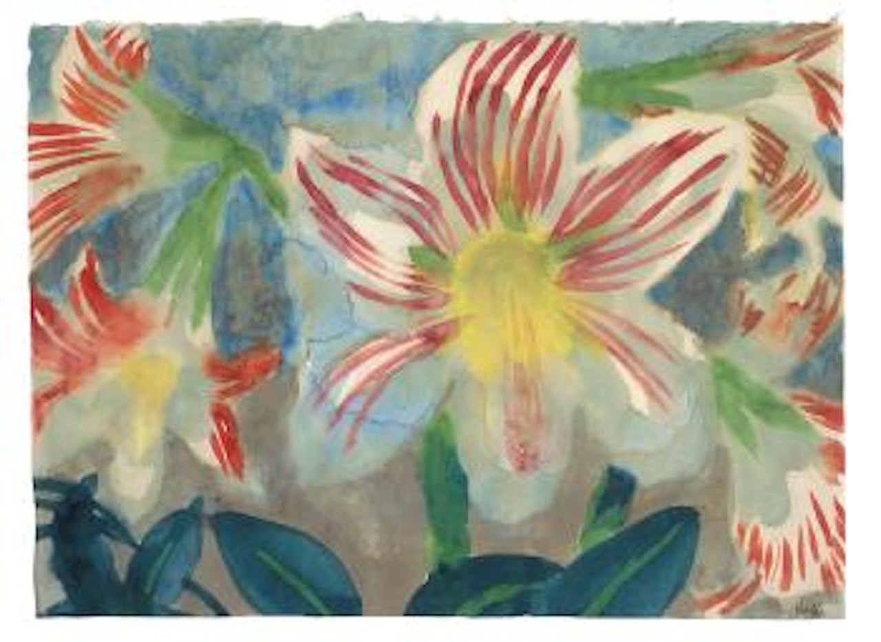 Amaryllisblüten by Emil Nolde