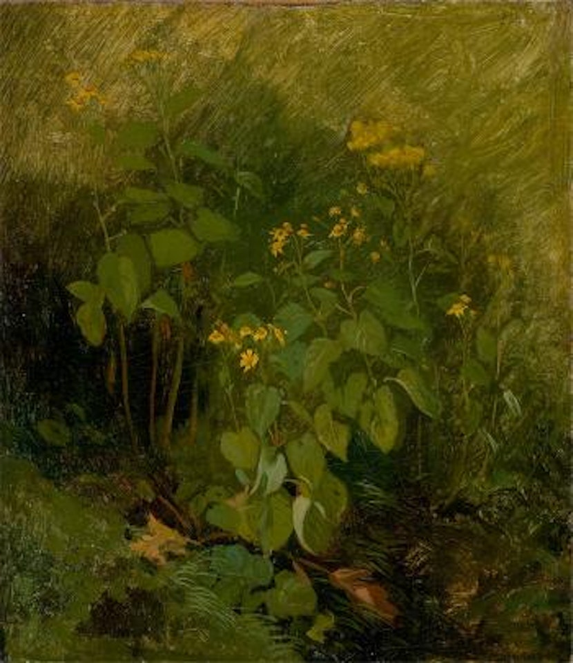 Gelbe blumen auf grünem grund by Christian Friedrich Gille