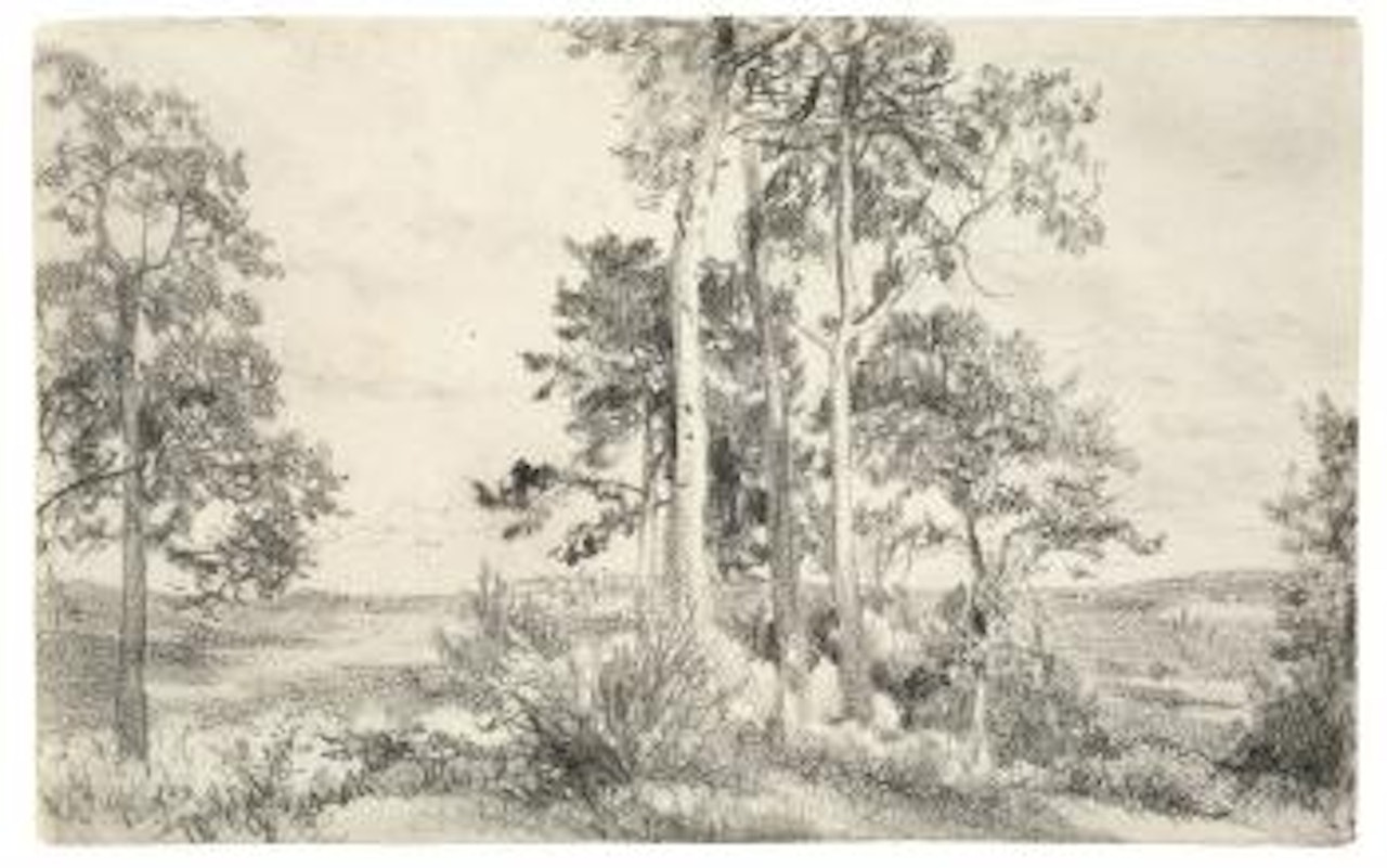 Landschaft mit Baumgruppe im vordergrund by Adolph Menzel