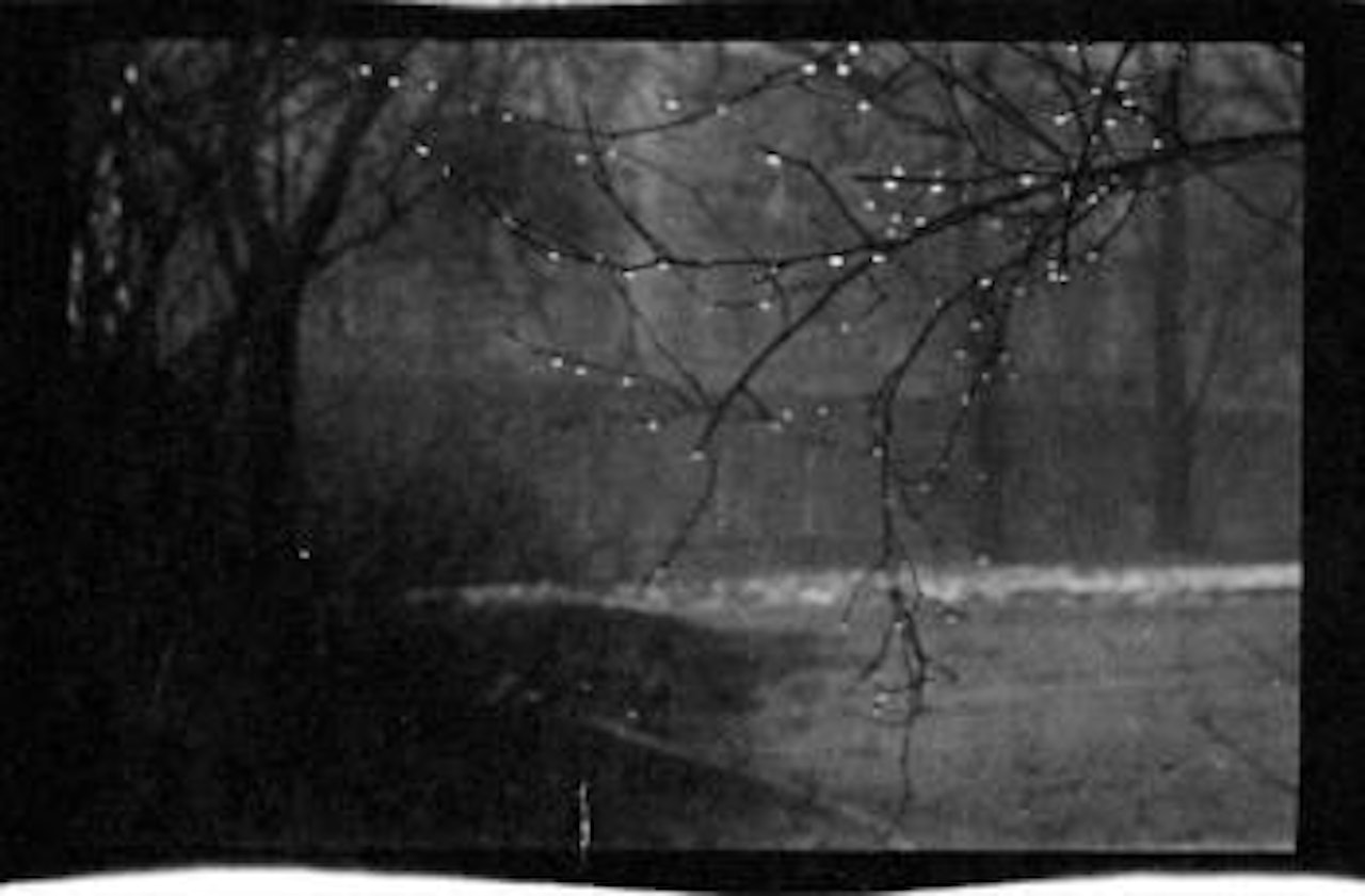Fotografische Skizze im Kinski Park, Prag by Josef Sudek