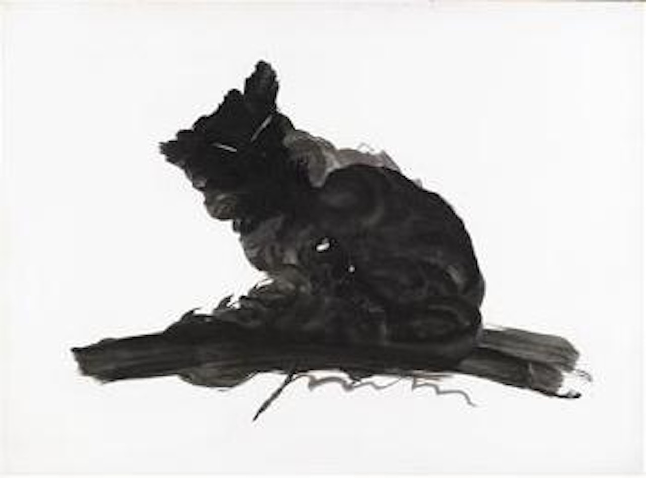 Gatto by Lucio Fontana