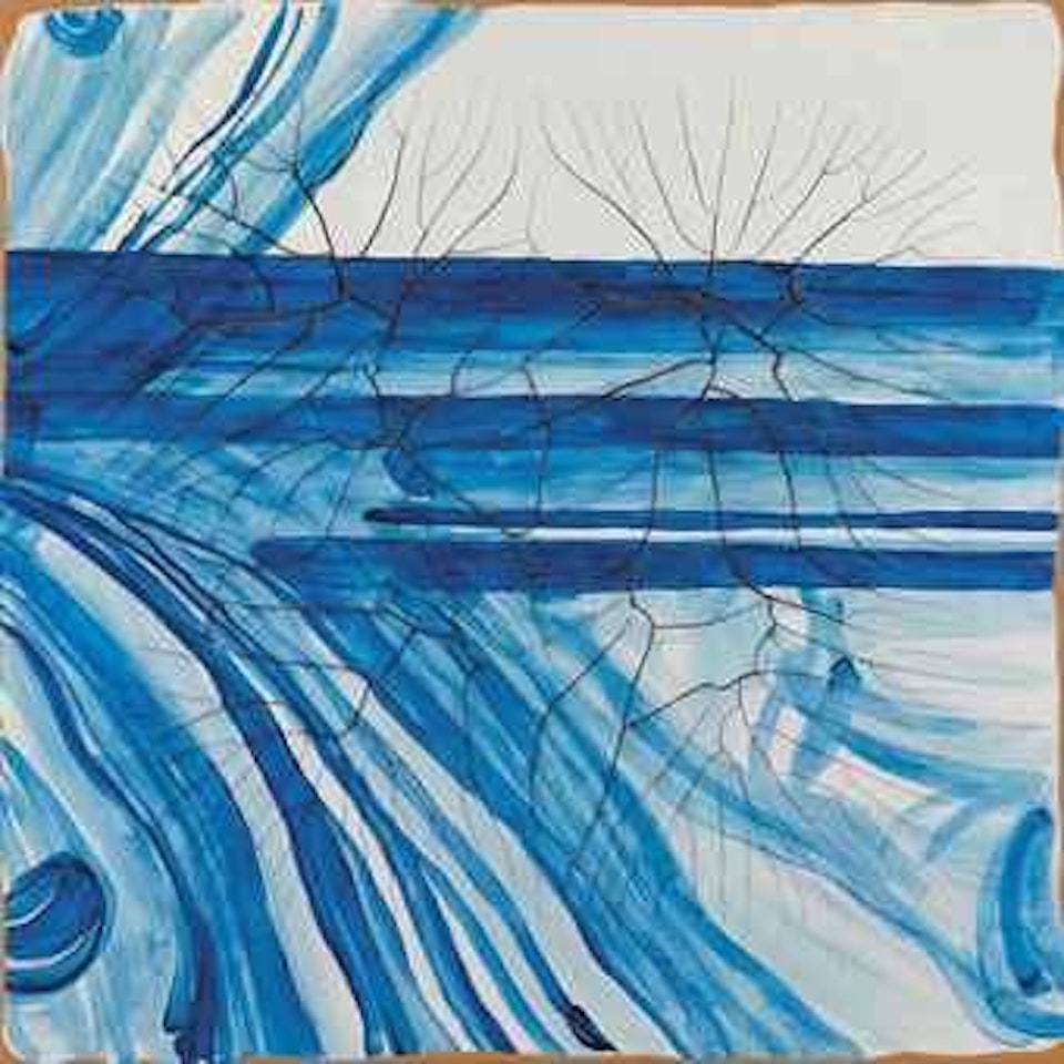 Espelho D'Agua by Adriana Varejão