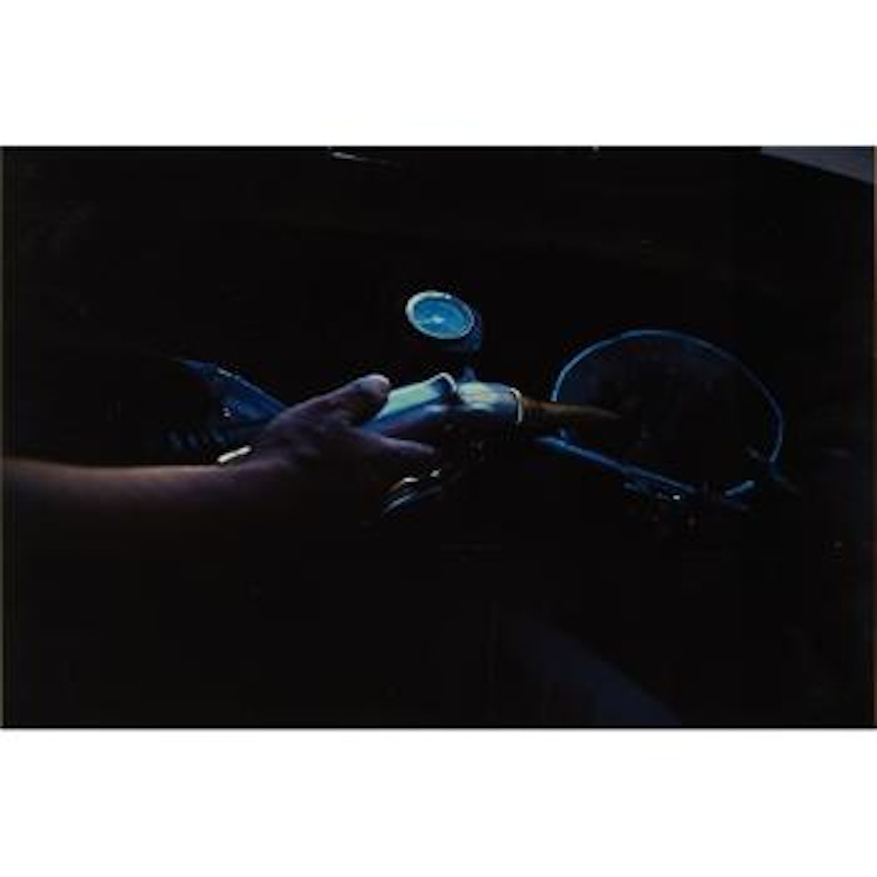Dolphin, 1996 by Gabriel Orozco
