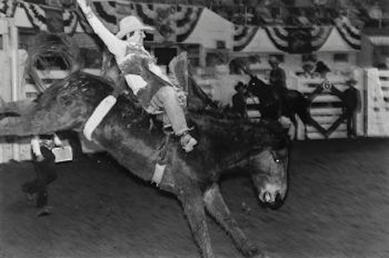 Rodeo Bucking Broncos by Garry Winogrand