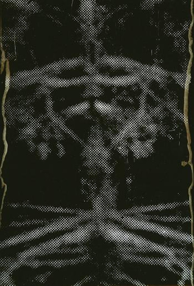 Ohne Titel (spiegelung III) by Sigmar Polke