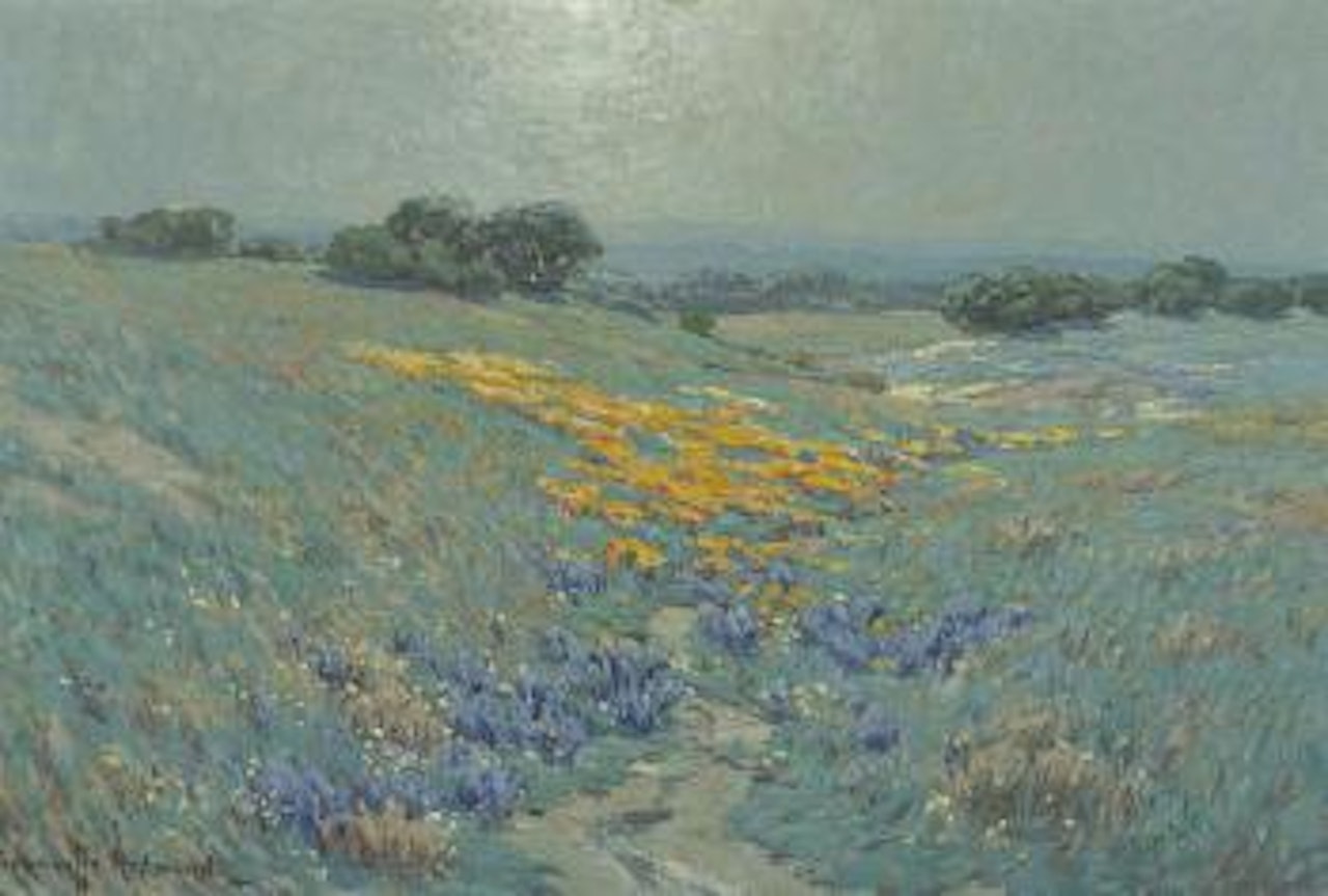 Poppies and Lupine by Granville Redmond