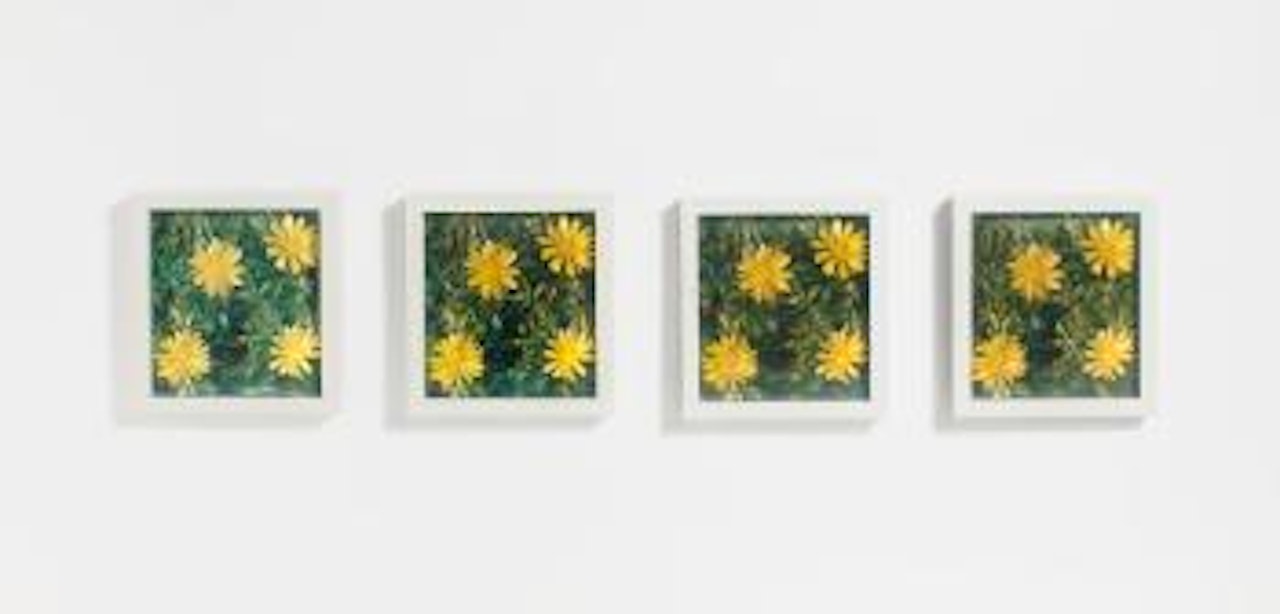 Detail of Construction 'Rain and Flowers' by Andy Warhol
