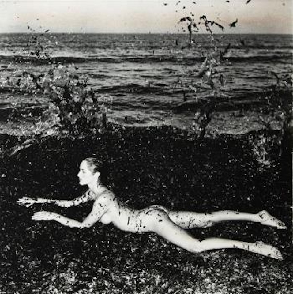 Nude, Seaweed by Helmut Newton