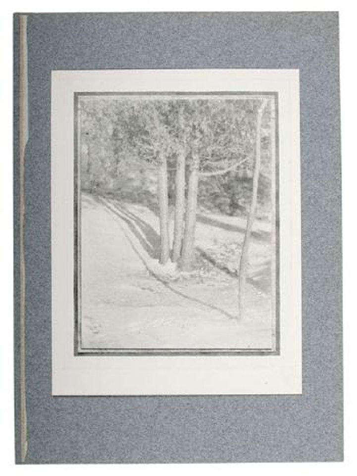 Judgement of Paris - A landscape arrangement by Edward Steichen