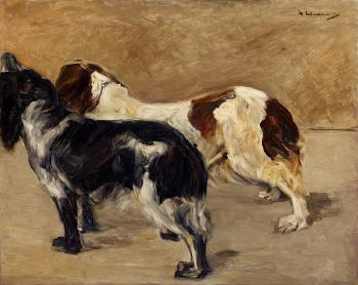 Zwei Spaniels by Max Liebermann